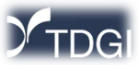 TDGI